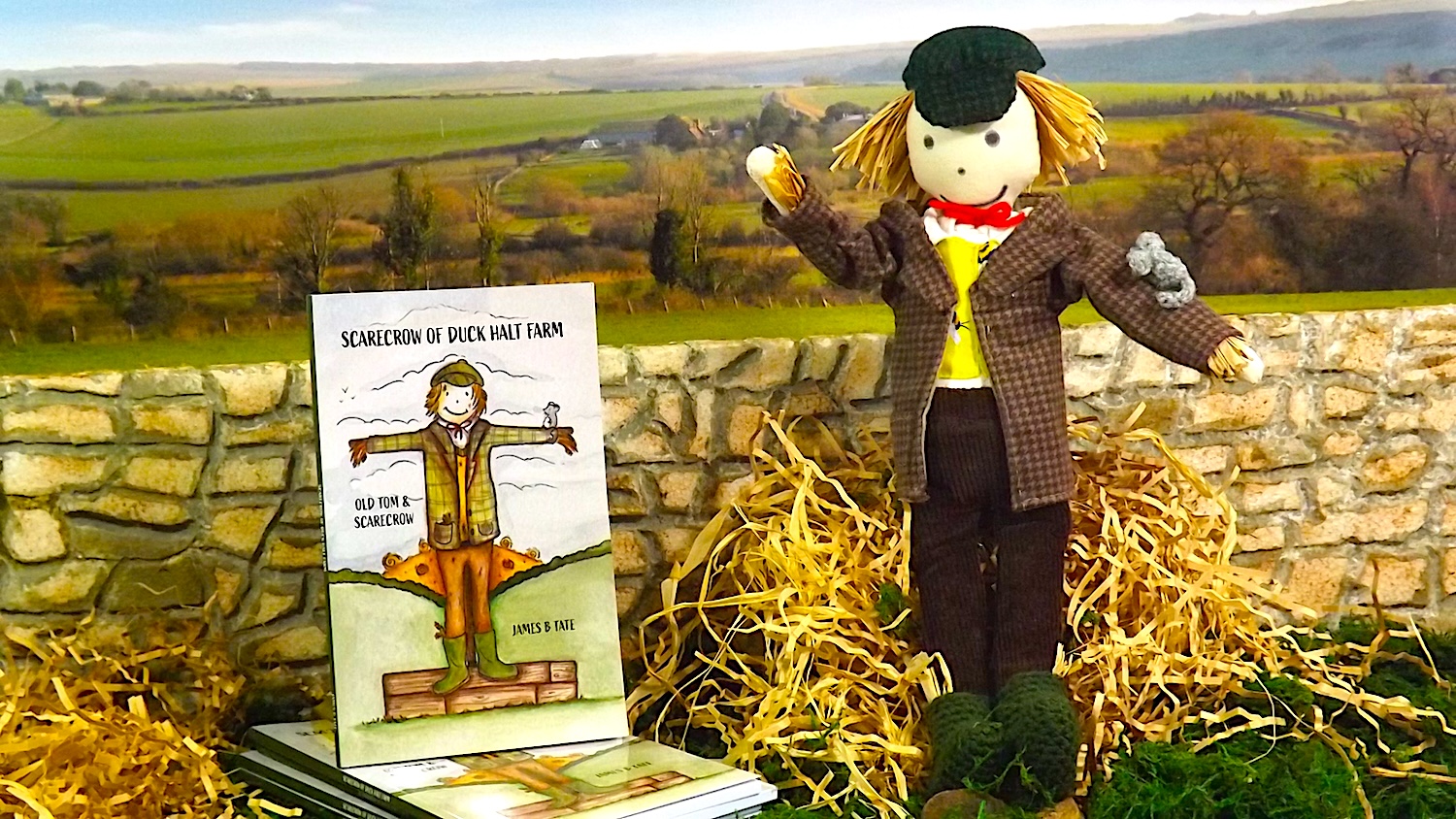 Scarecrow book